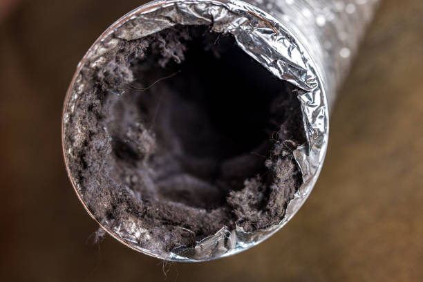 Best Air Vent Cleaning Services  in North Zanesville, OH